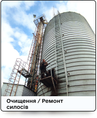 Зображення з портфоліо.